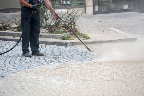 Best Animal Enclosure Cleaning  in Southmont, PA